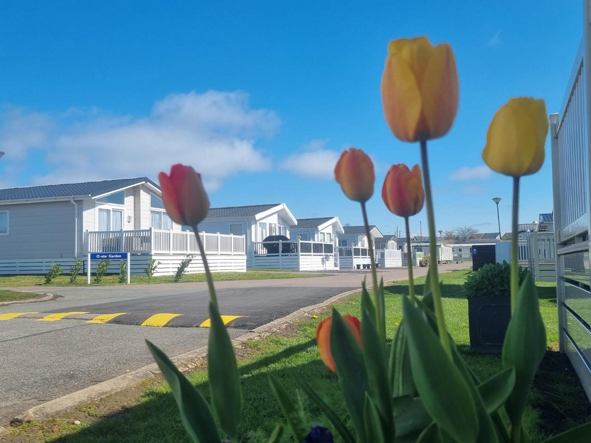 Whitstable Beaumont Hotel Seasalter Екстериор снимка